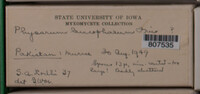 Image Associated With the Occurence